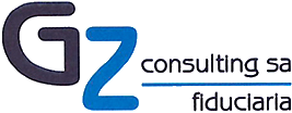 GZ Consulting
